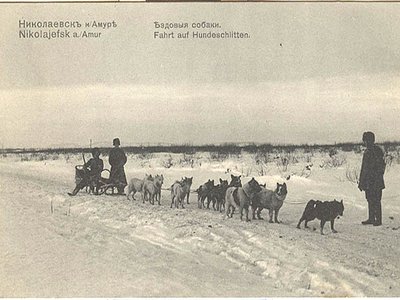 Sakhalin Husky