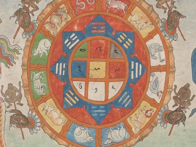 Tibetan Sheep