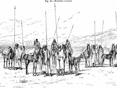 Turkestan Rat