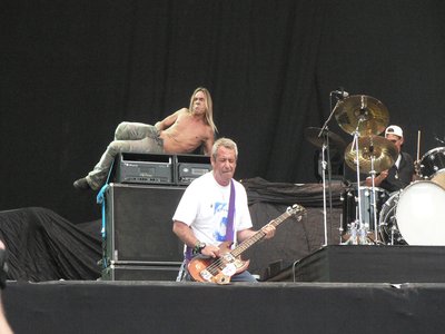 Rock Iguana