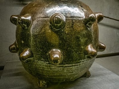 Stinkpot