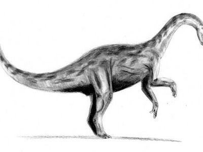 Yunnanosaurus