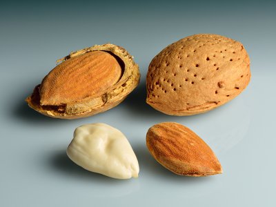Bitter Almond