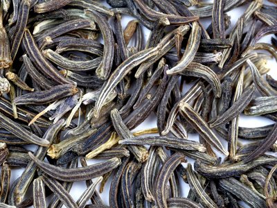Black Cumin
