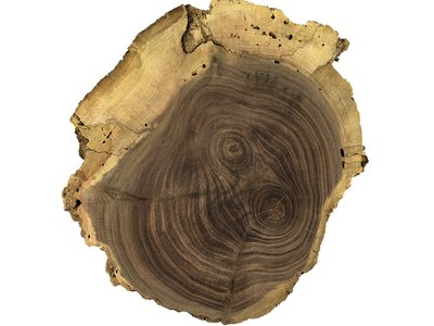 Black Walnut