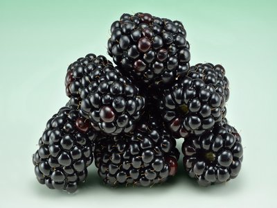 Blackberry