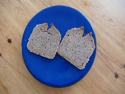 Bread Wheat