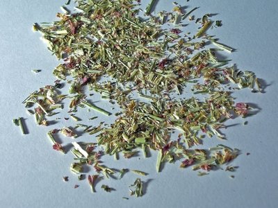 Centaury