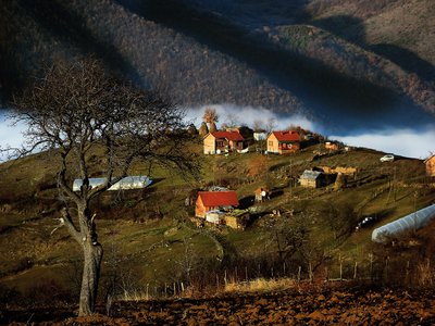 Ceraja