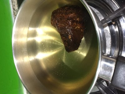 Chaga Mushroom