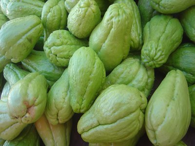 Chayote