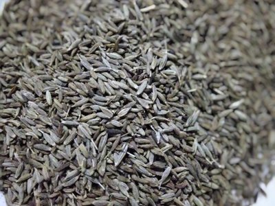 Cumin