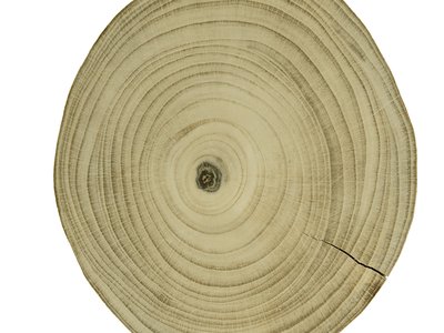 Ginkgo