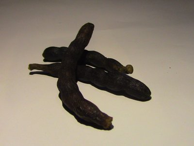 Grains of Selim