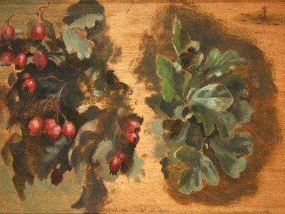 Hawthorn Berries
