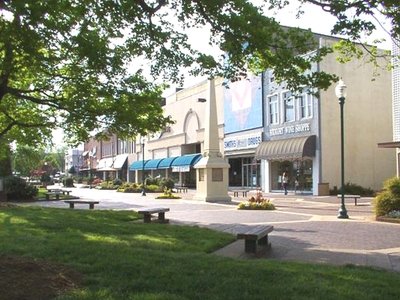Hickory