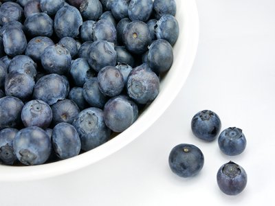 Highbush Blueberry