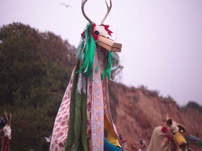 Hobby Horse