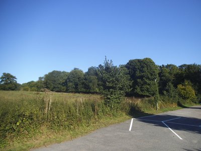 Hollyberry