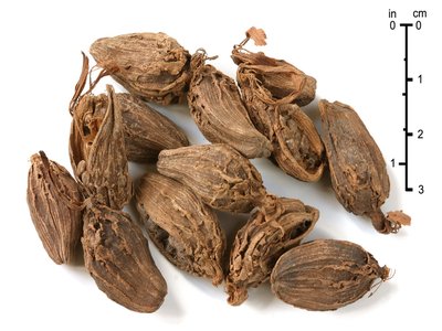 Indian Cardamom