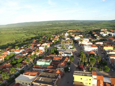 Jaborandi