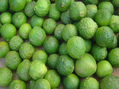 Kaffir Lime