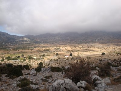 Katharos