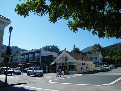 Larkspur