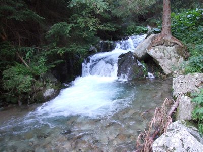 Latana