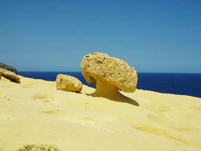 Maltese Mushroom