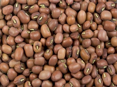 Mung Bean