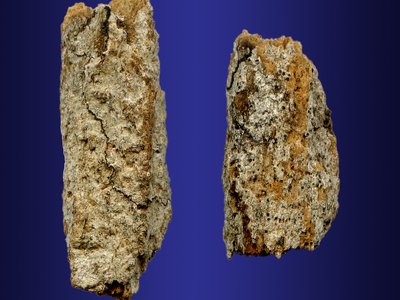 Okoubaka aubrevillei