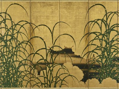 Pampas Grass