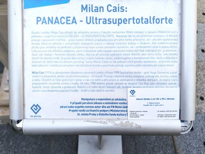 Panacea
