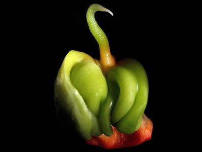 Paprika