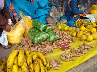 Peruvian Ginger