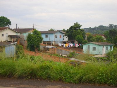 Pitanga
