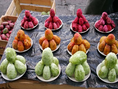Prickly Pear