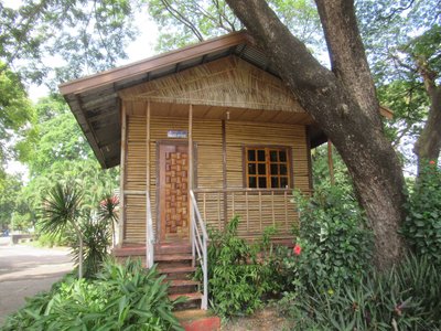 Quezon Bamboo