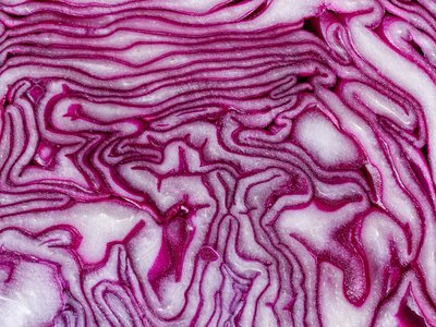 Red Cabbage