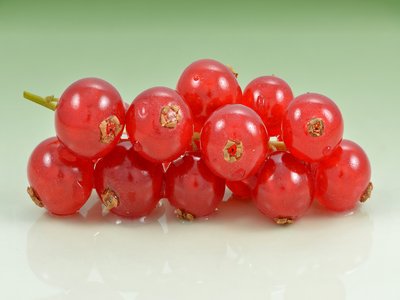 Red Currant