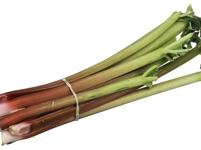 Rhubarb
