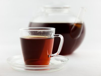 Rooibos Bush