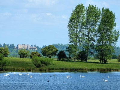 Rutland Beauty