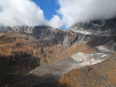 Tamku