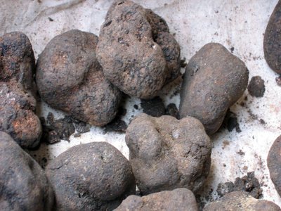 Truffles