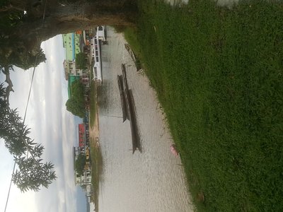 Uarini