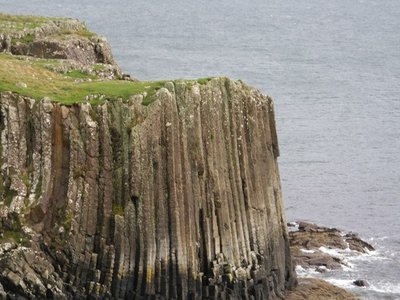 Ulva