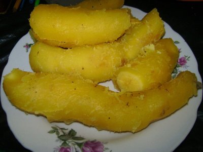 Xanthorrhiza