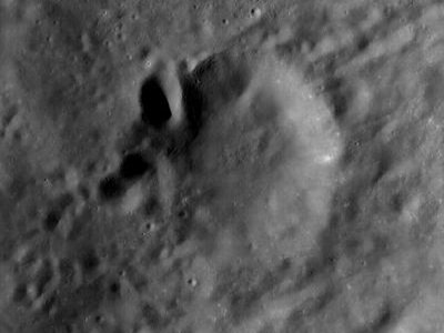 Xenophon
